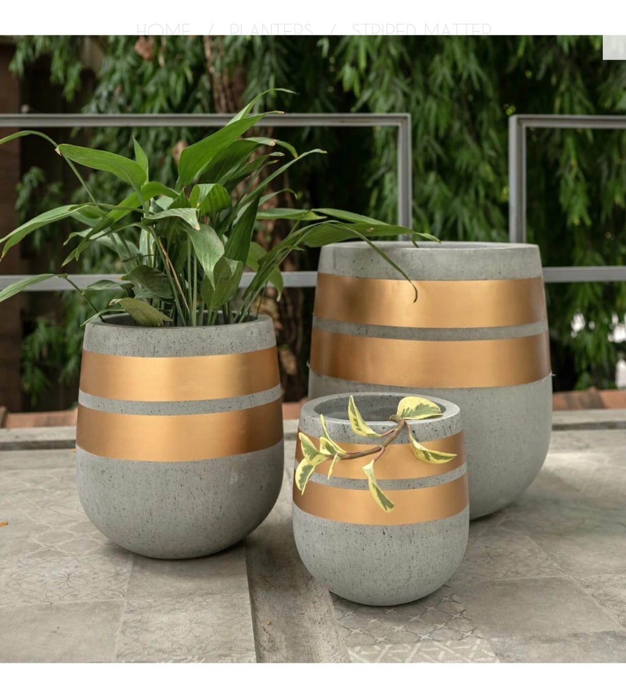 Aarti Planters